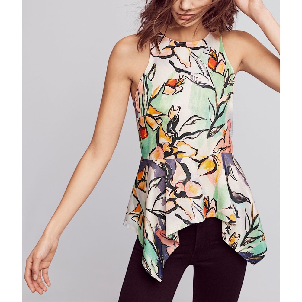 Anthropologie Sz 8 HD in Paris Floral Peplum Top